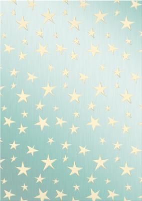 Elegant Christmas Greetings Matching Vellum
