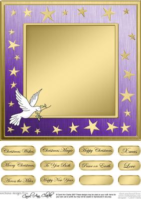Xmas Dove Matching 8 x 8 Insert Panel and Greetings