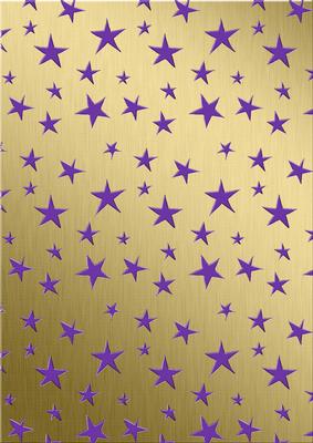 Xmas Dove Matching Backing Paper