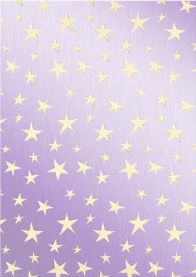 Xmas Dove Matching Vellum