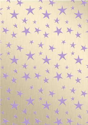 Xmas Dove Matching Vellum