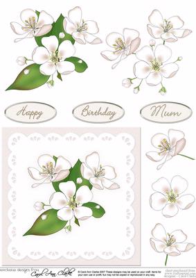Blossom & Lace in Cream