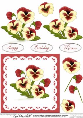 Pansy & Lace in Burnt Orange