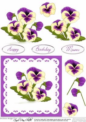Pansy & Lace in Purple