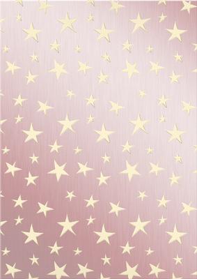 Elegant Christmas Greetings Matching Vellum