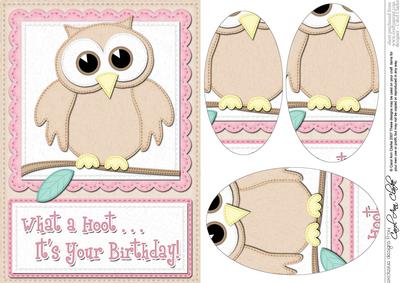 A5 What a Hoot Owl Birthday Oval Pyramage Topper