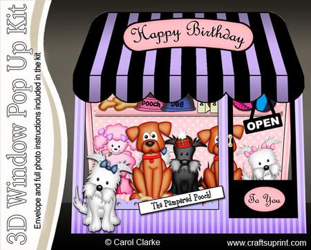 3D Pampered Pooch Window Pop Up Card Decoupage N Envelope