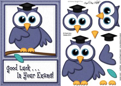 A5 Wise Owl Good Luck Exam Felties Quick Card 3D Decoupage