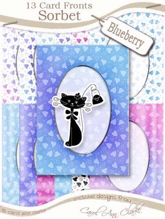 Sorbet Blueberry A5 Oval Frame Card Fronts