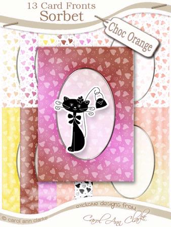 Sorbet Chocolate Orange A5 Oval Frame Card Fronts