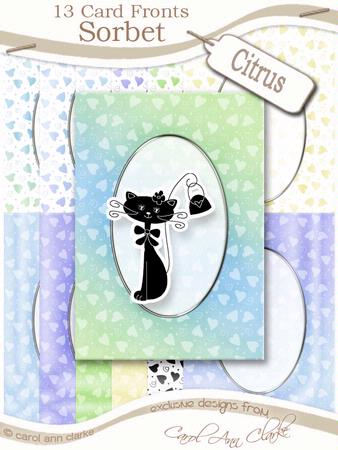 Sorbet Citrus A5 Oval Frame Card Fronts