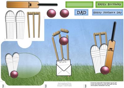Cricket Lottery Wallet Card