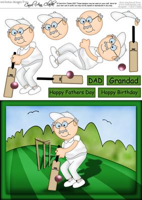 A5 Bert Plays Cricket Quick Card N 3D Decoupage