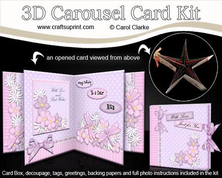 3D Flowers N Dragonflies Floral Carousel Card Kit