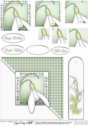 Snowdrops Quick Card with Pyramage