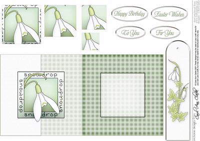 Snowdrop Fold Back Card with Pyramage