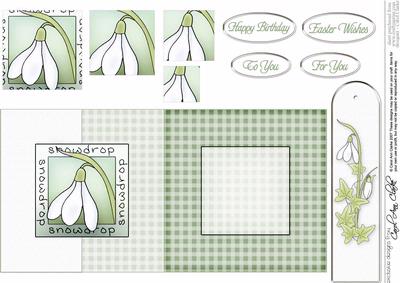 Snowdrop Fold Back Card with Pyramage