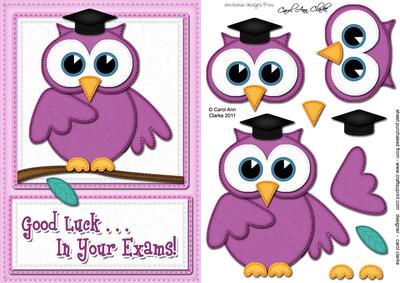 A5 Wise Owl Good Luck Exam Felties Quick Card 3D Decoupage