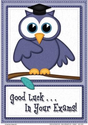 A4 Wise Owl Exam Good Luck Felties Card Topper