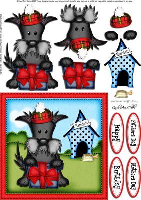 Hamish's Present Quick Card N 3D Decoupage