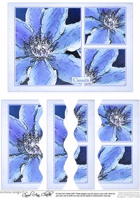 Clematis Wavey Edged Side Stacker
