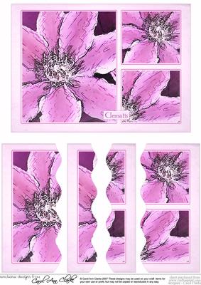 Clematis Wavey Edged Side Stacker