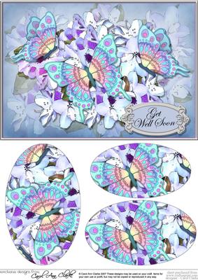 A5 Get Well Soon Flowers & Butterfly Oval Pyramage Topper