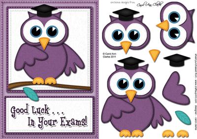A5 Wise Owl Good Luck Exam Felties Quick Card 3D Decoupage