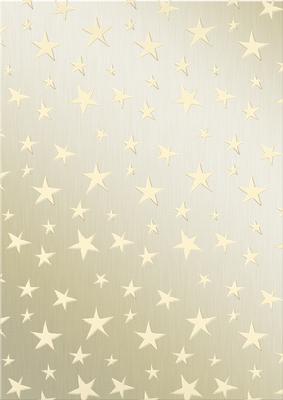 Elegant Christmas Greetings Matching Vellum