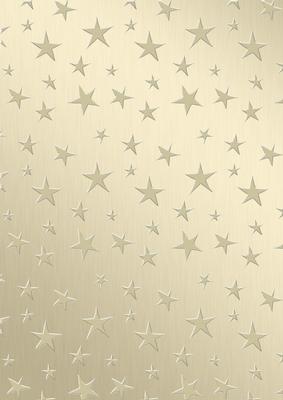 Elegant Christmas Greetings Matching Vellum