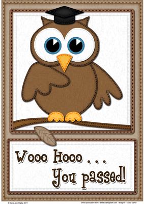 A4 Wise Owl Exam Good Luck Felties Card Topper