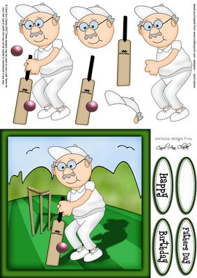 Bert Plays Cricket Quick Card N 3D Decoupage