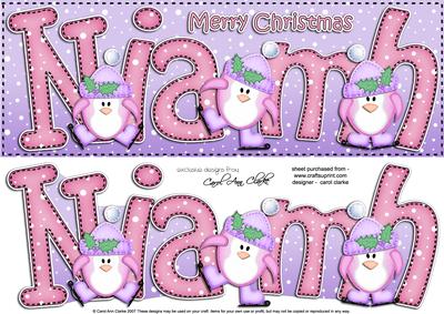 Large Dl Niamh Quick Card with Penguins N 3D Decoupage