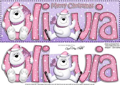 Large Dl Olivia Quick Card with Polar Bears N 3D Decoupage