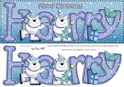 Large Dl Harry Quick Card with Polar Bears N 3D Decoupage