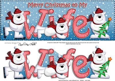 Large Dl Xmas Wife with Polar Bears Quick Card 3D Decoupage