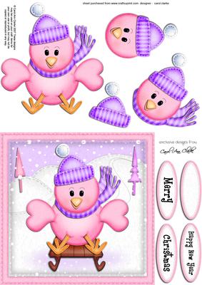 Xmas Sledging Little Birdie Quick Card N 3D Decoupage