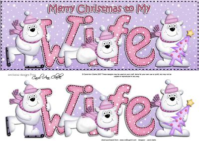 Large Dl Xmas Wife with Polar Bears Quick Card 3D Decoupage