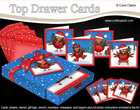 3D Top Drawer Xmas Robins Cards Bumper Kit