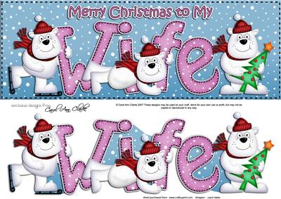 Large Dl Xmas Wife with Polar Bears Quick Card 3D Decoupage