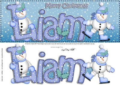 Xmas Large Dl Liam Quick Card N 3D Decoupage