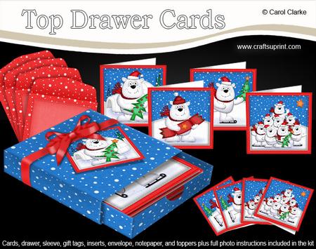 3D Top Drawer Xmas Ben Polar Bear Cards Bumper Kit