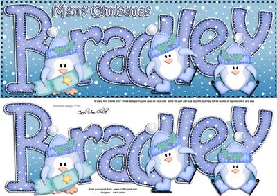Xmas Large Dl Bradley Quick Card N 3D Decoupage