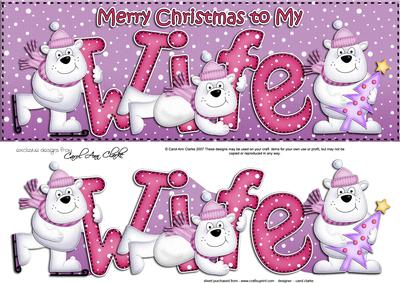 Large Dl Xmas Wife with Polar Bears Quick Card 3D Decoupage