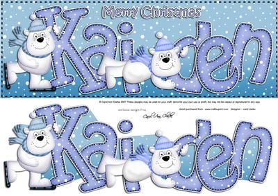 Xmas Large Dl Kaiden Quick Card N 3D Decoupage
