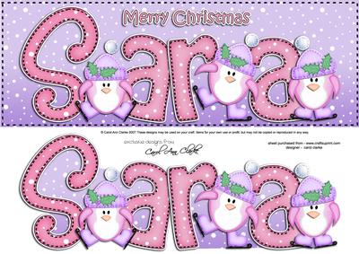 Xmas Large Dl Sara Quick Card N 3D Decoupage