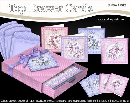 3D Top Drawer Dreamy Dragonflies Cards Bumper Kit