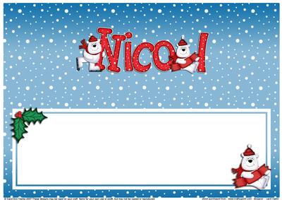 Xmas Nicol Matching Large Dl Insert