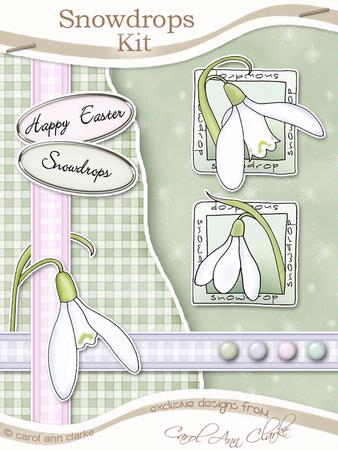 Snowdrops Kit with Step by Step Decoupage