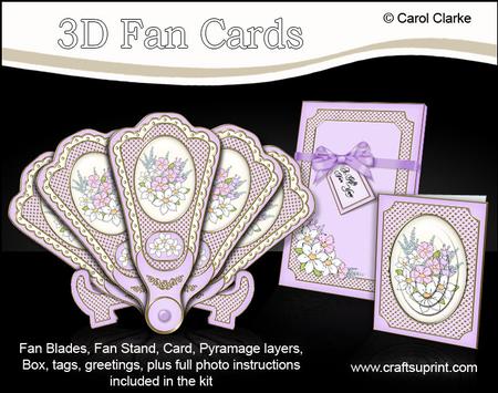 3D Floral Fan Card Spring Posy with Stand, Gift Card N Box